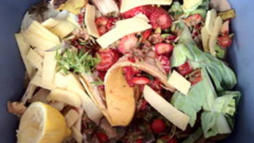 Organic waste: Biobased circularity